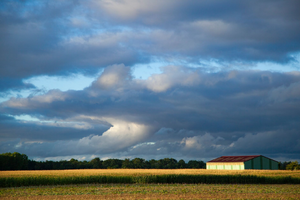 Déménageur Champs-sur-Marne